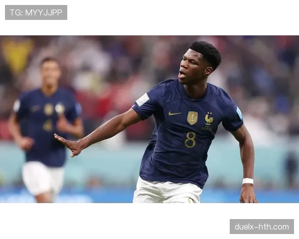 楚阿梅尼控场能力 楚阿梅尼控场能力